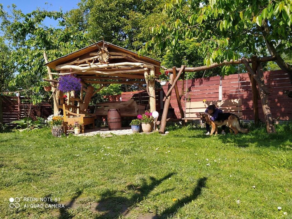 Agroturystyka Pod Kogutem Zamość Esterno foto