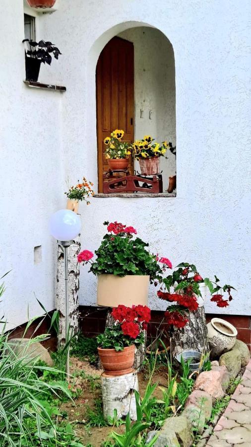 Agroturystyka Pod Kogutem Zamość Esterno foto