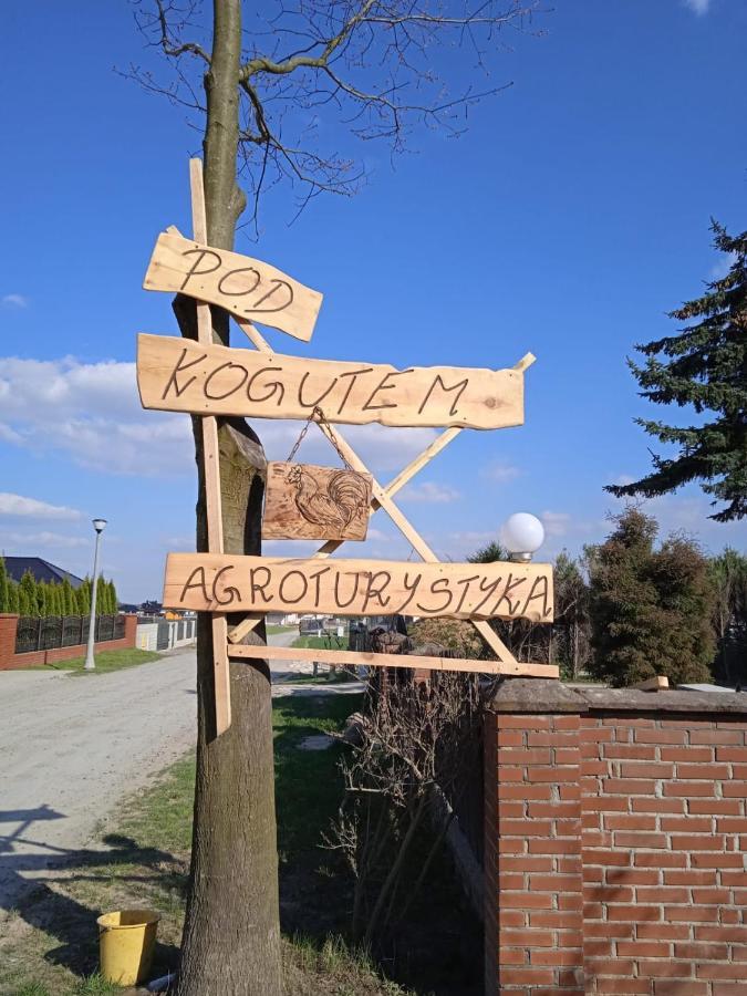 Agroturystyka Pod Kogutem Zamość Esterno foto