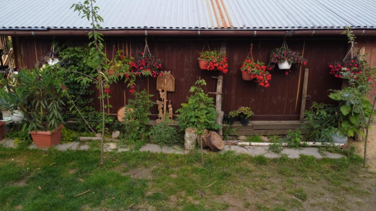 Agroturystyka Pod Kogutem Zamość Esterno foto