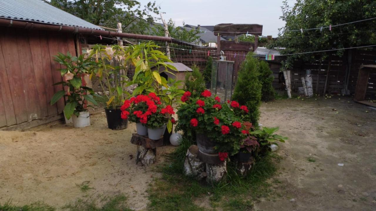 Agroturystyka Pod Kogutem Zamość Esterno foto
